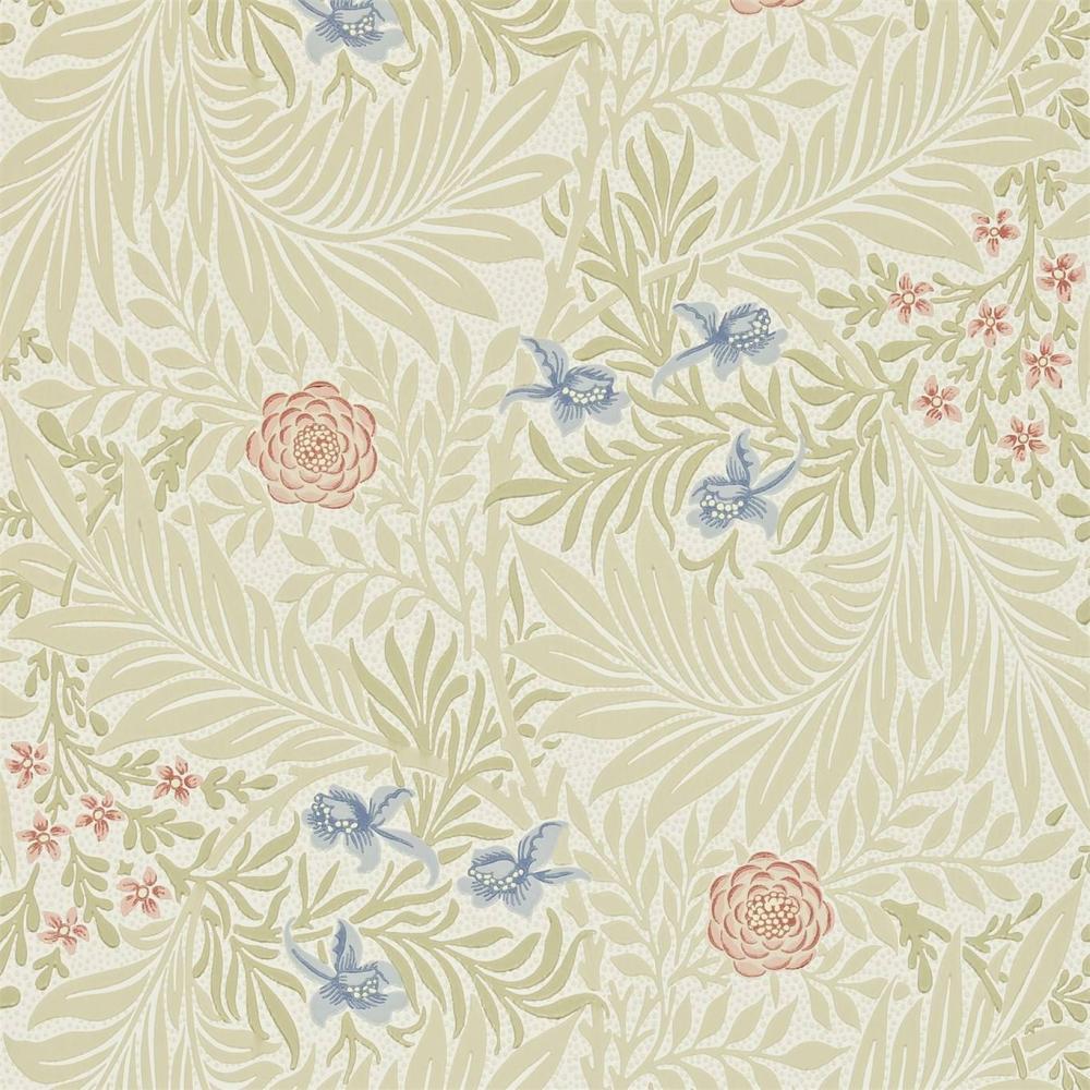 Larkspur