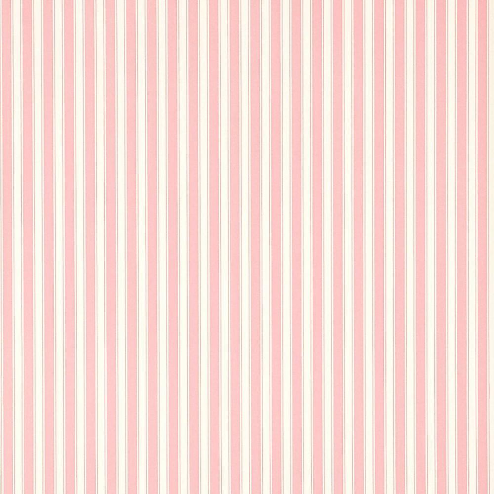New Tiger Stripe