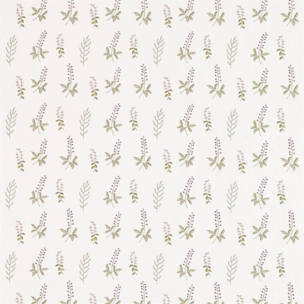 Bilberry