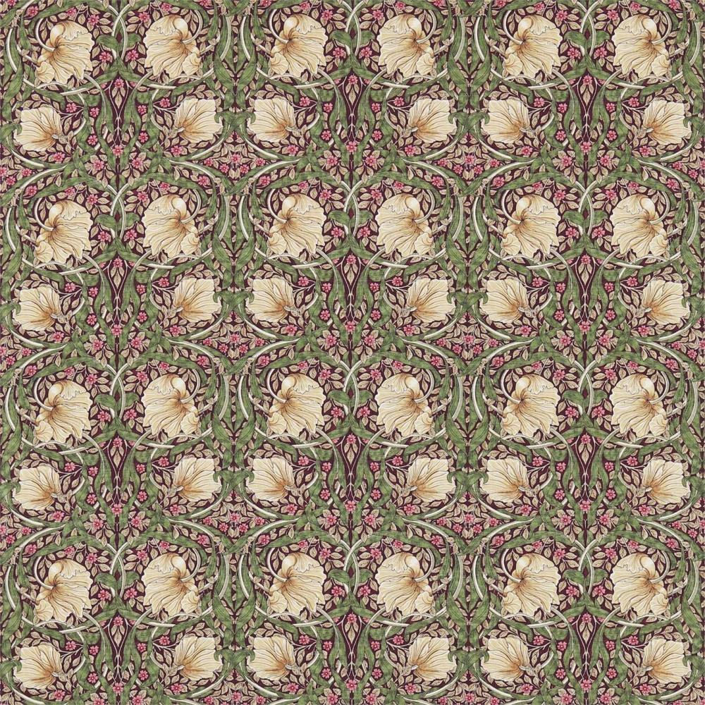 Pimpernel