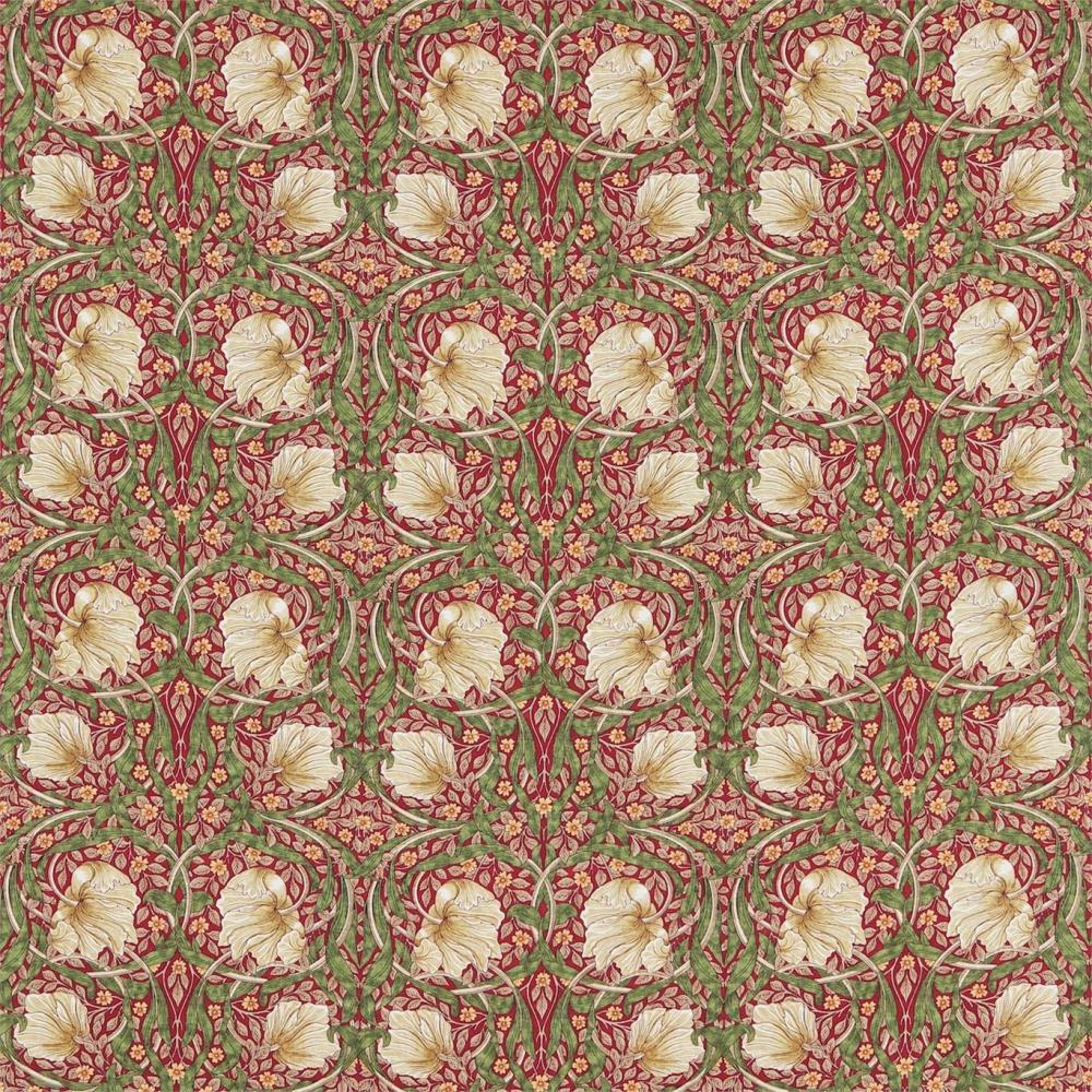 Pimpernel