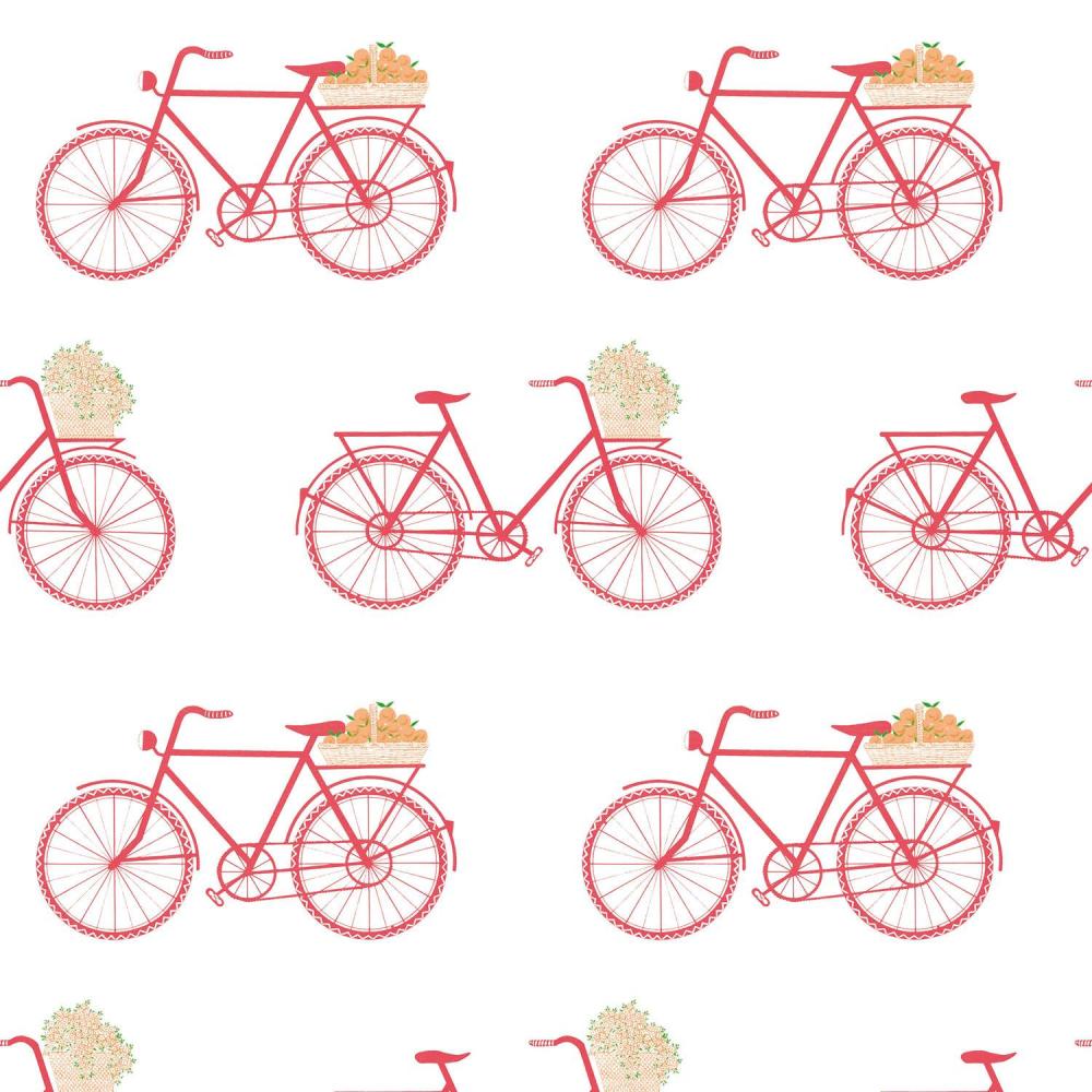 Bicicletas