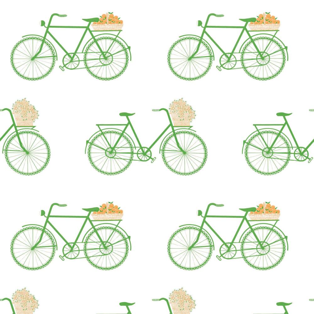 Bicicletas
