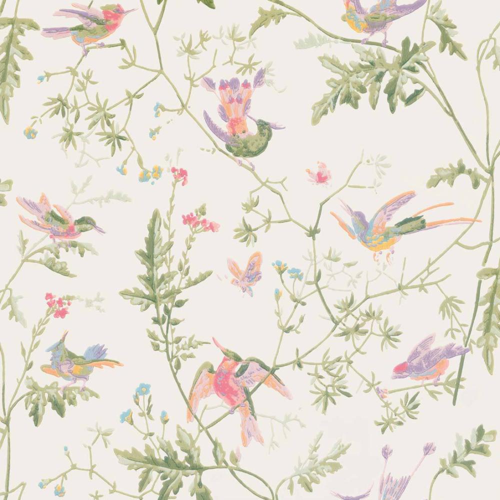 Hummingbirds
