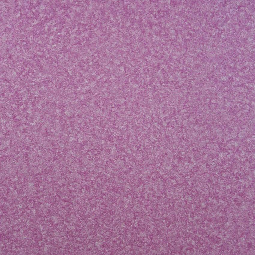 Corteccia