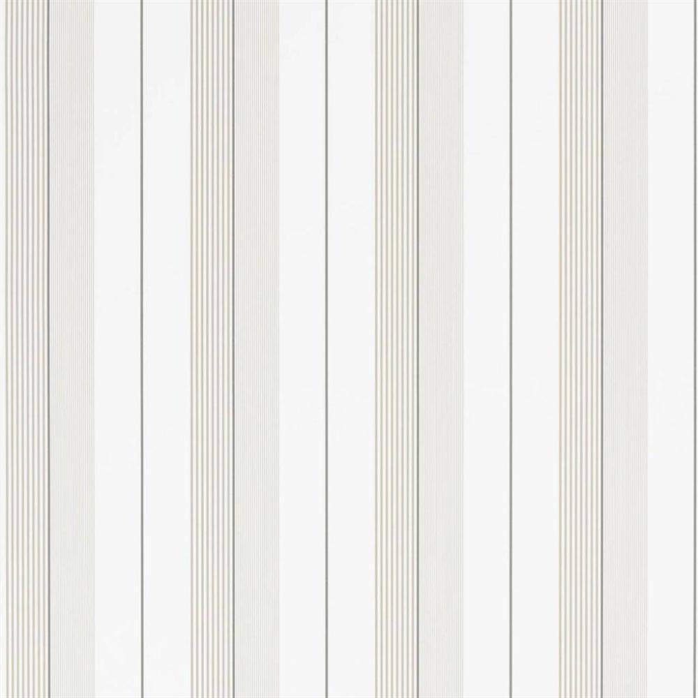 Aiden Stripe
