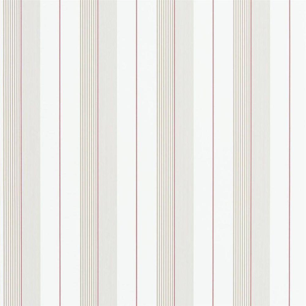 Aiden Stripe