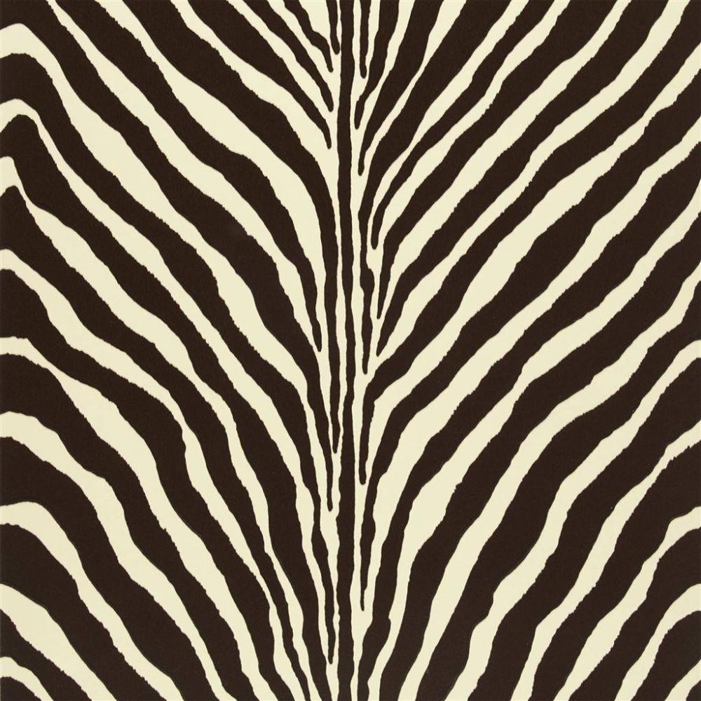 Bartlett Zebra