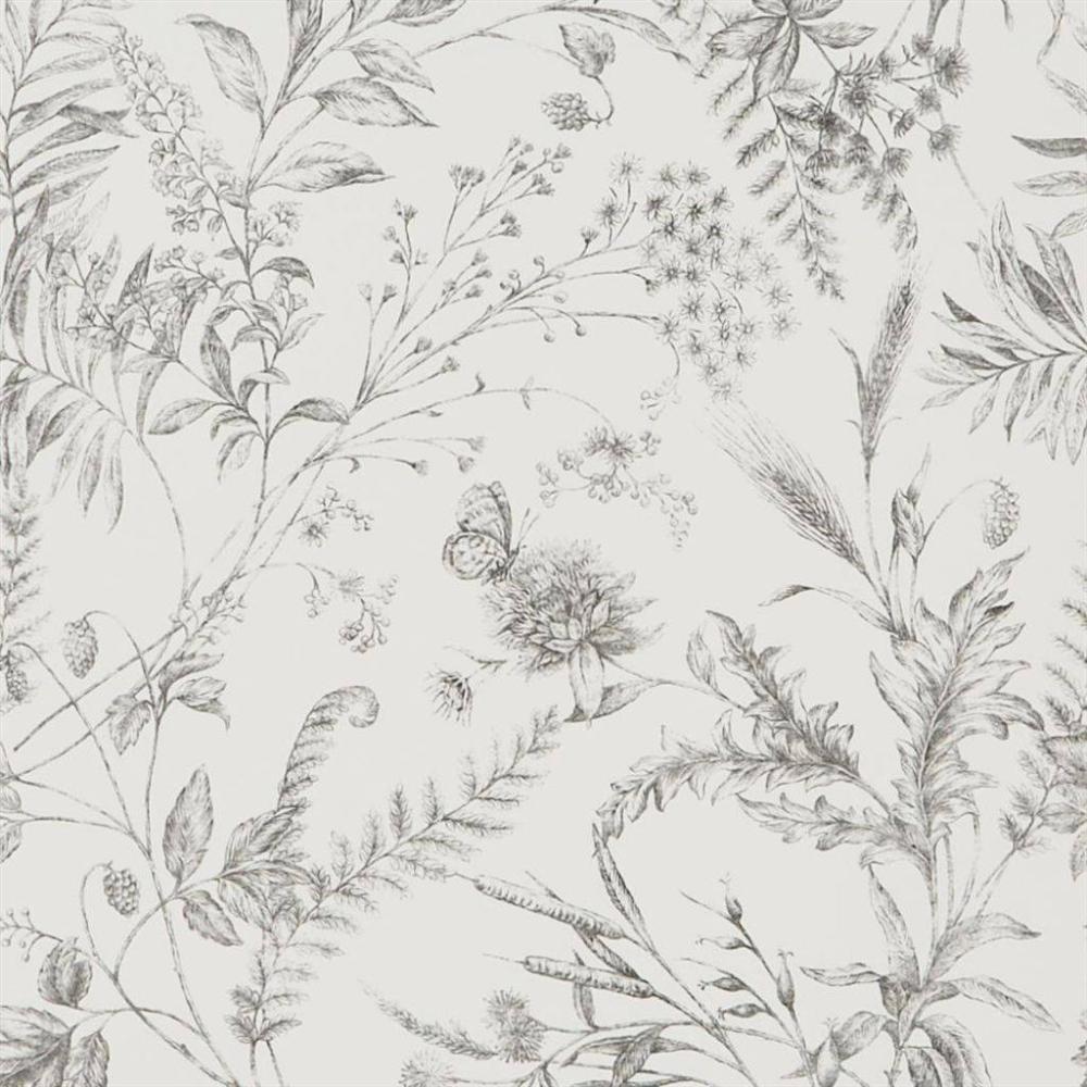 Fern Toile