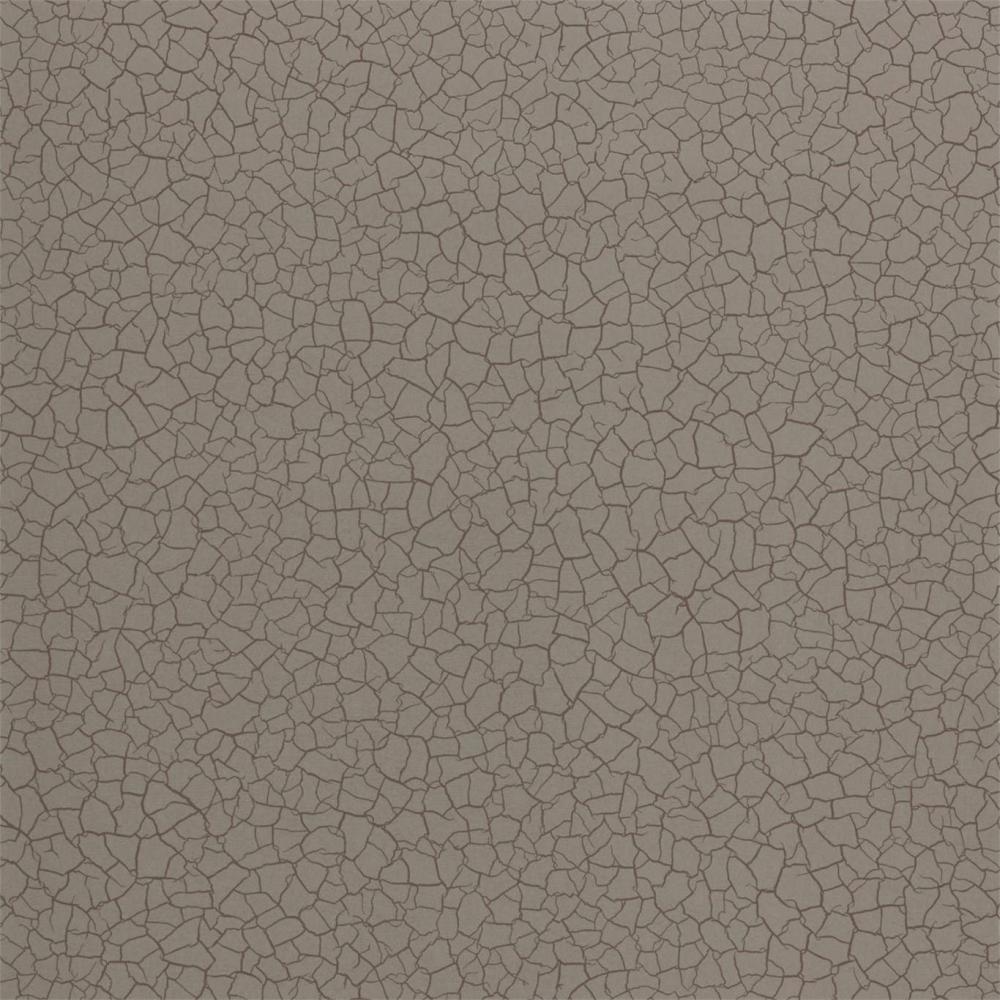 Cracked Earth
