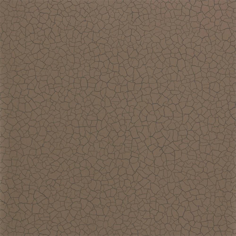 Cracked Earth