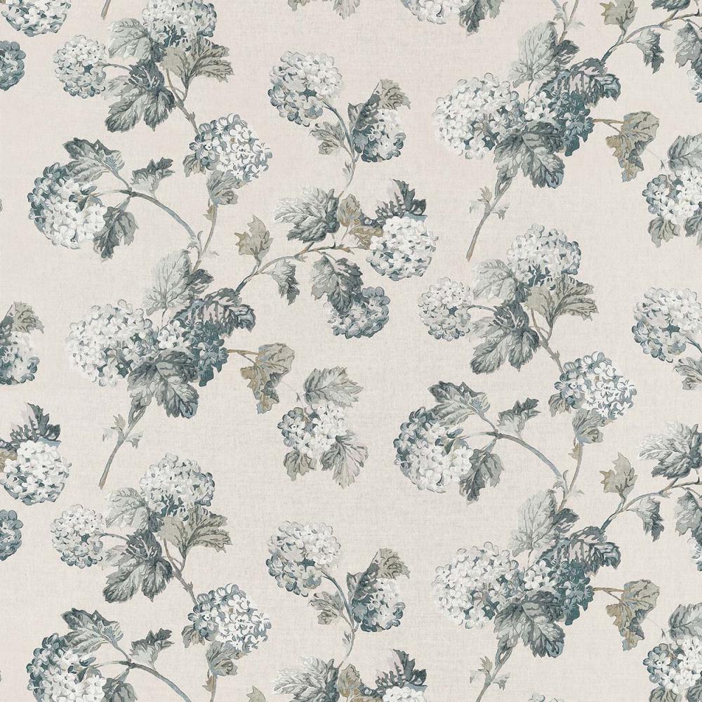 Sussex Hydrangea