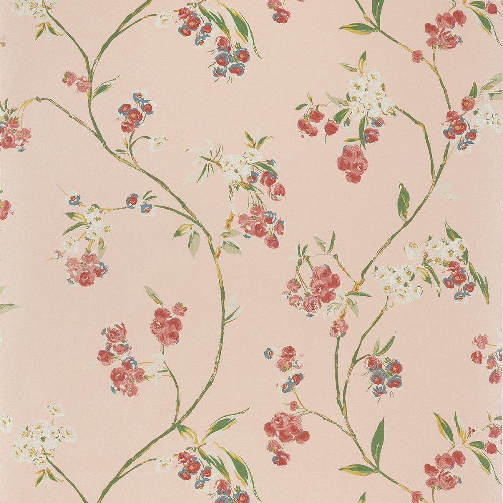 Edo Bloom