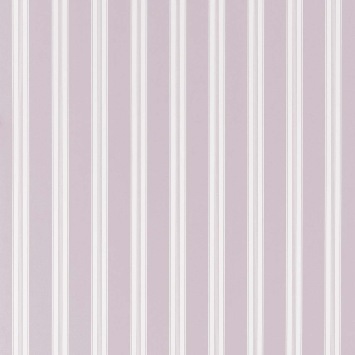 Payton Stripe