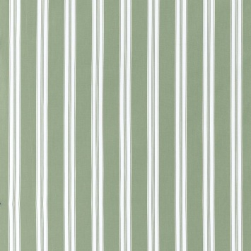 Payton Stripe