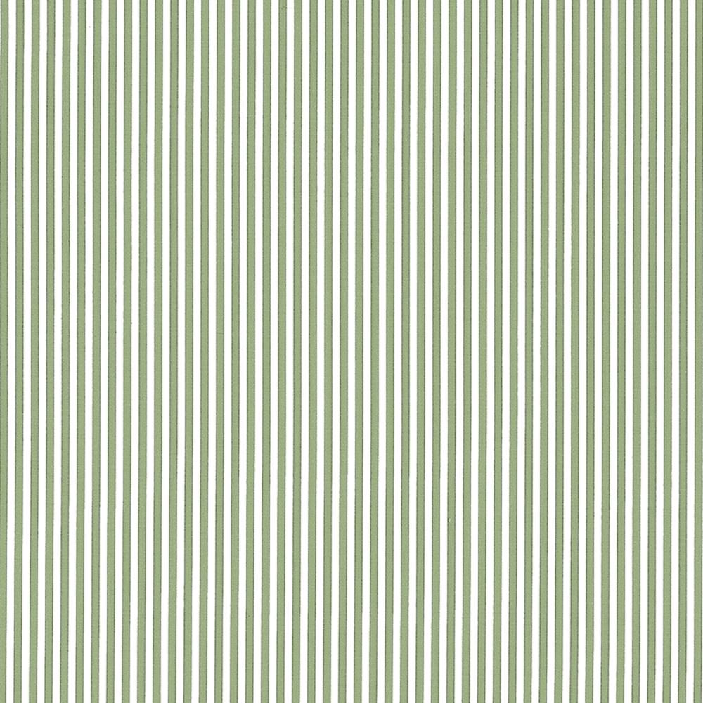 Holden Stripe
