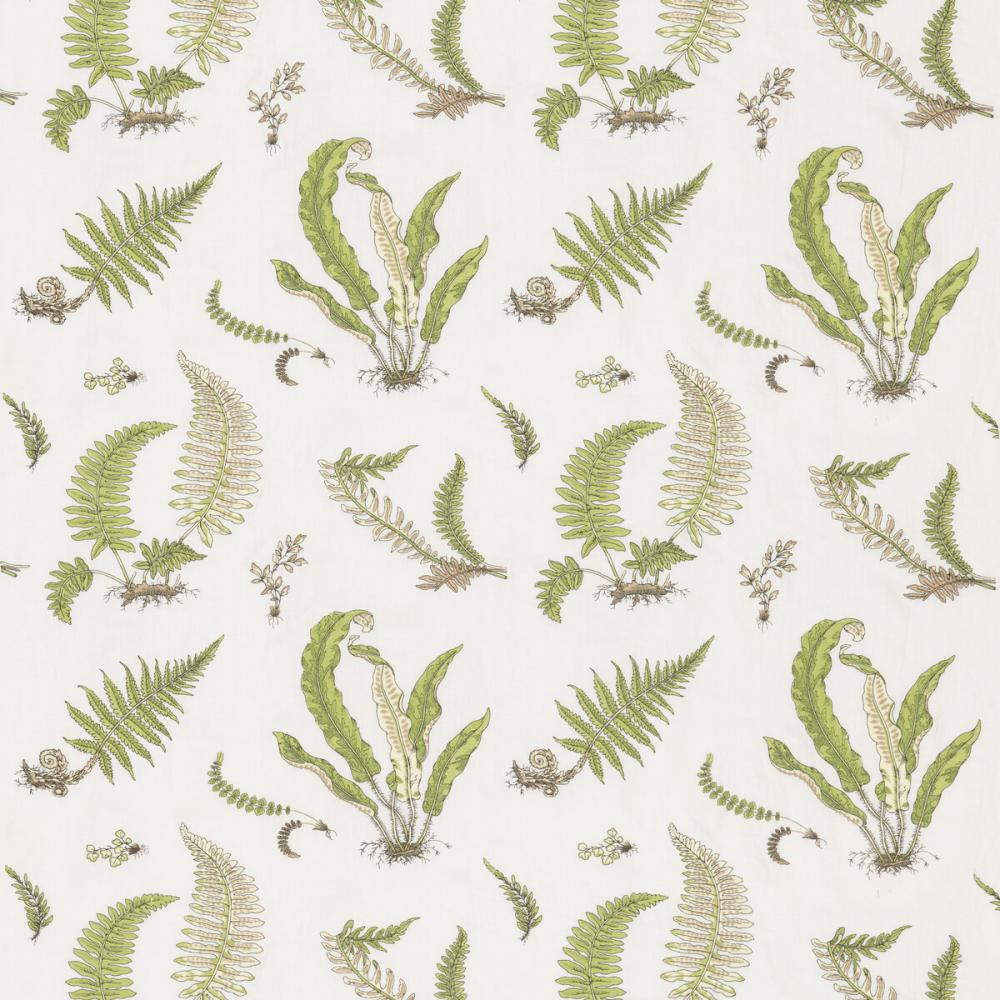 Ferns Embroidery