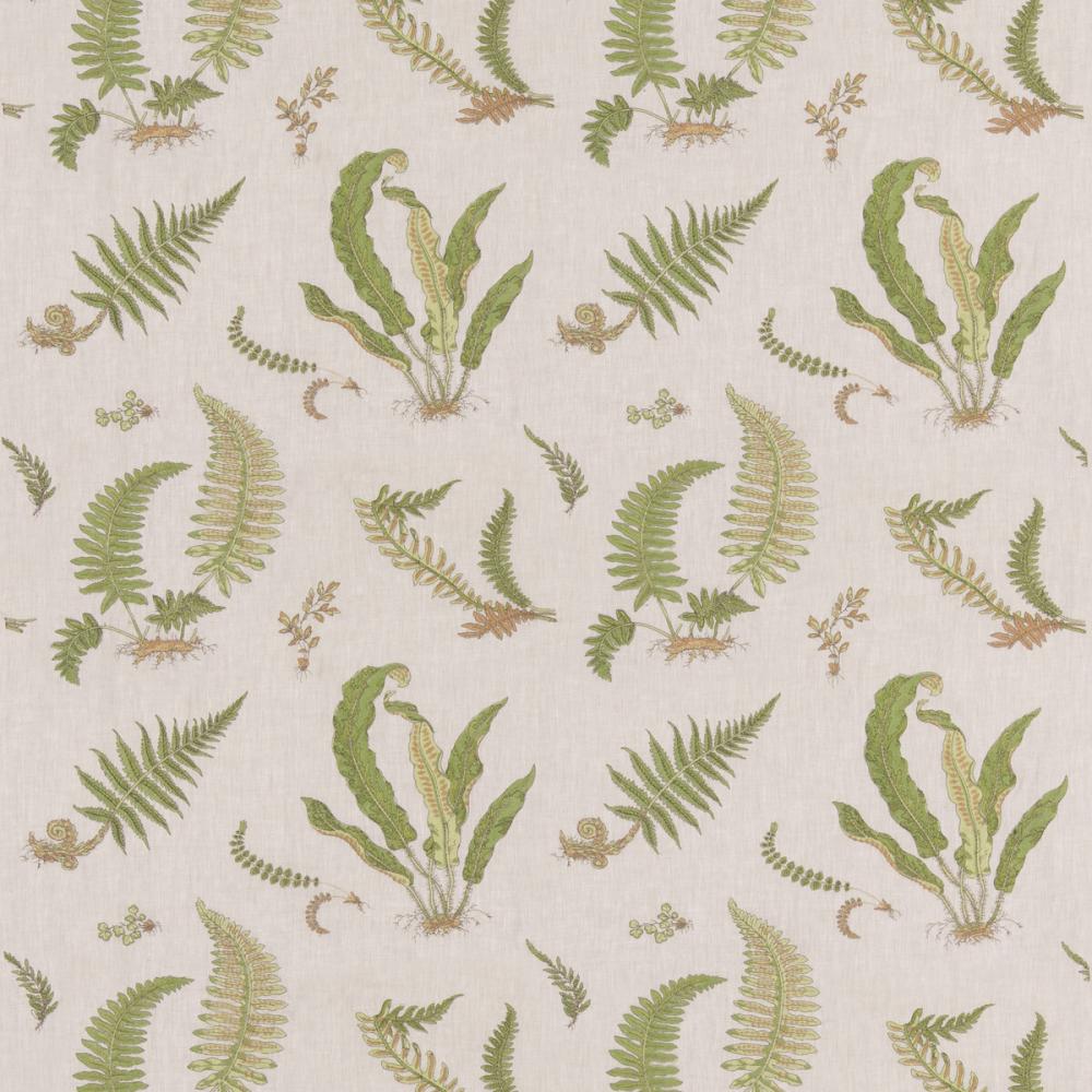 Ferns Embroidery