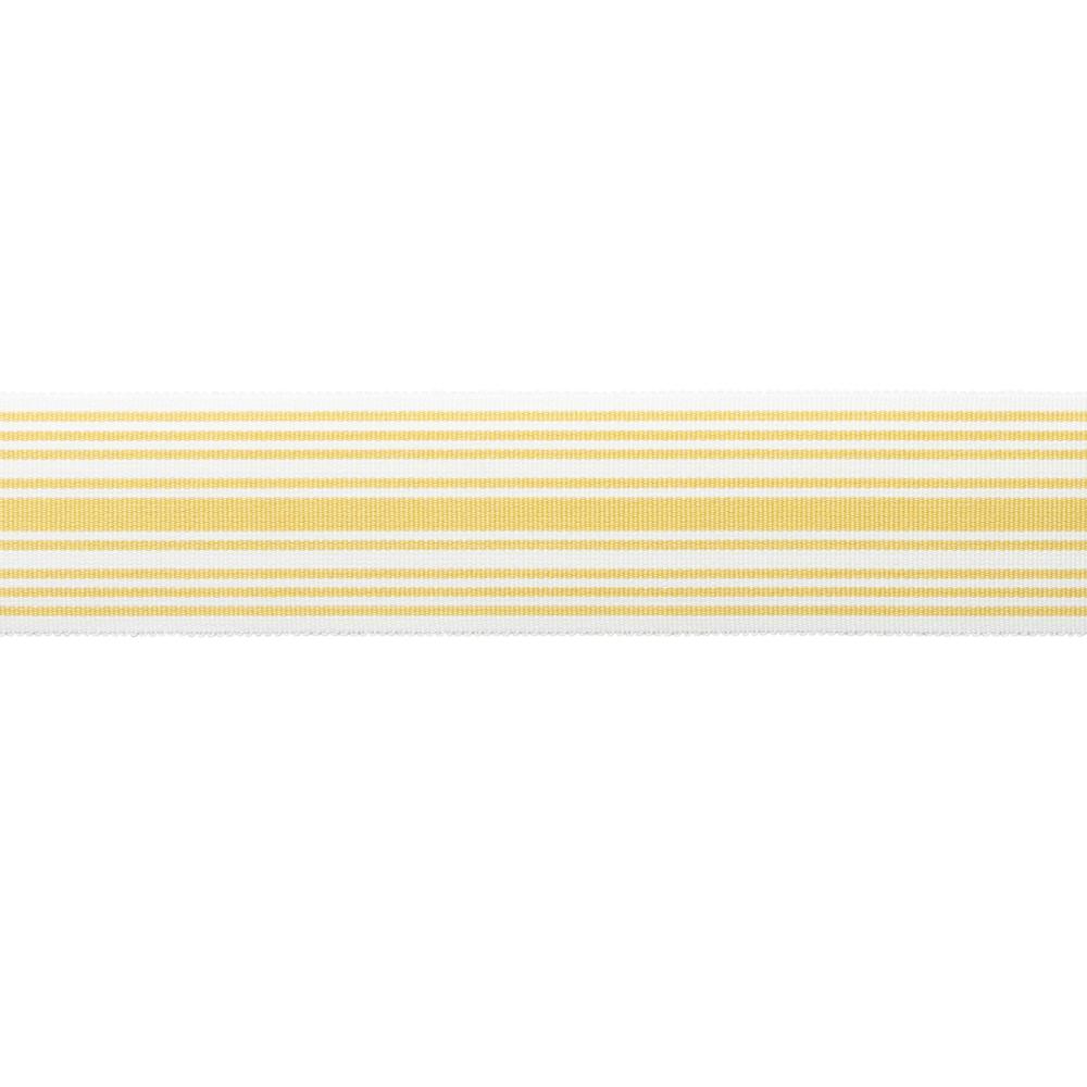MDS Stripe Border