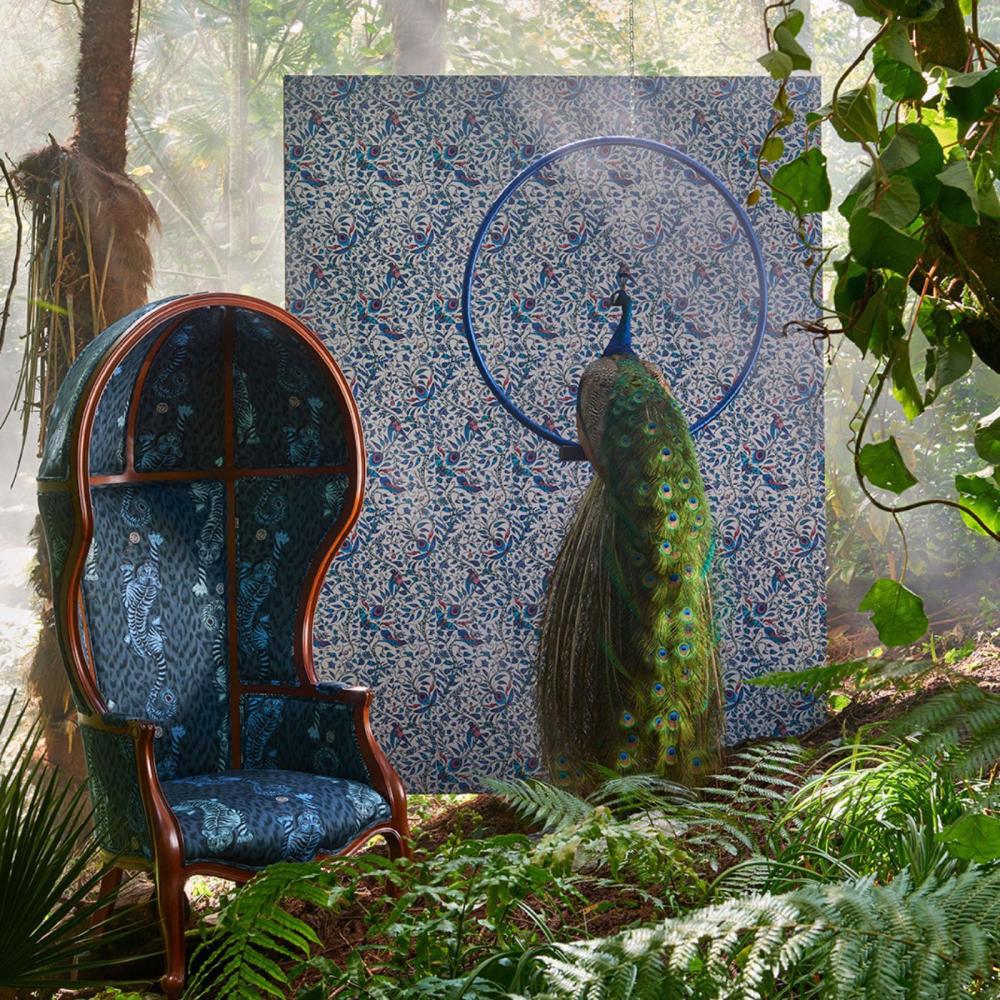 Rousseau