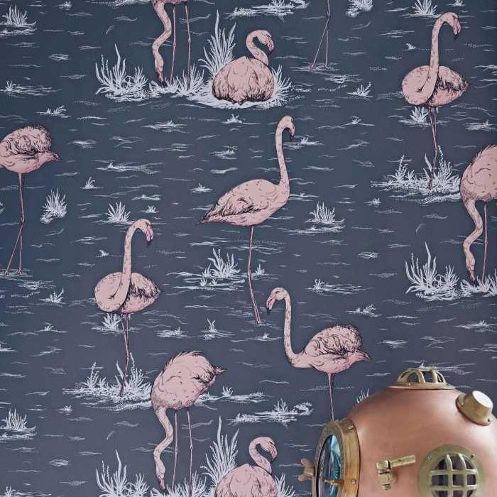 Flamingos