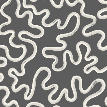 Cole & Son Rainforest Squiggle 130/8028 White & Grey on Charcoal