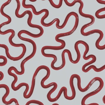 Cole & Son Rainforest Squiggle 130/8031 Rouge & Burgundy on Soft Blue