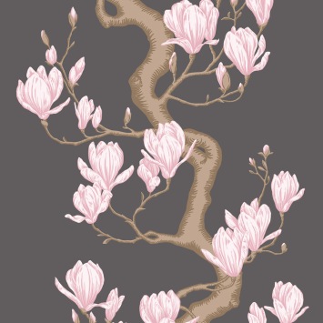 Magnolia Tree
