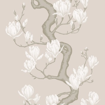 Magnolia Tree