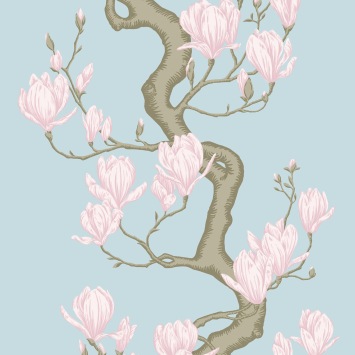 Magnolia Tree