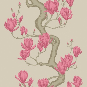 Magnolia Tree