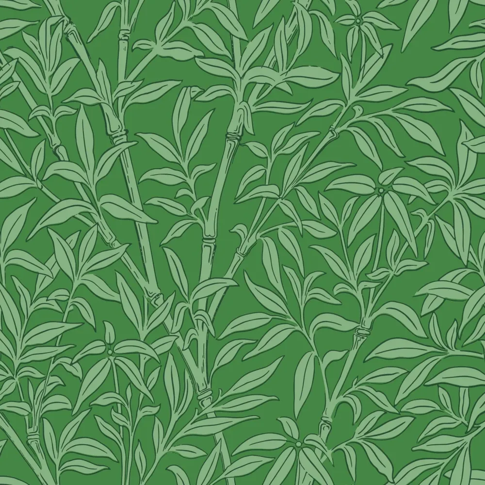 Bamboo Forest