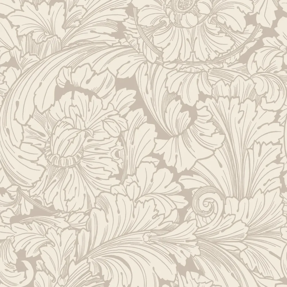 Acanthus