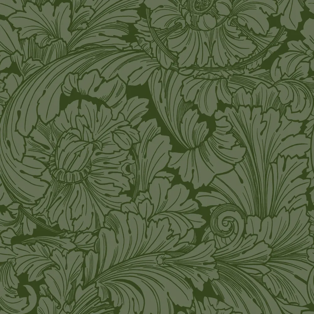 Acanthus