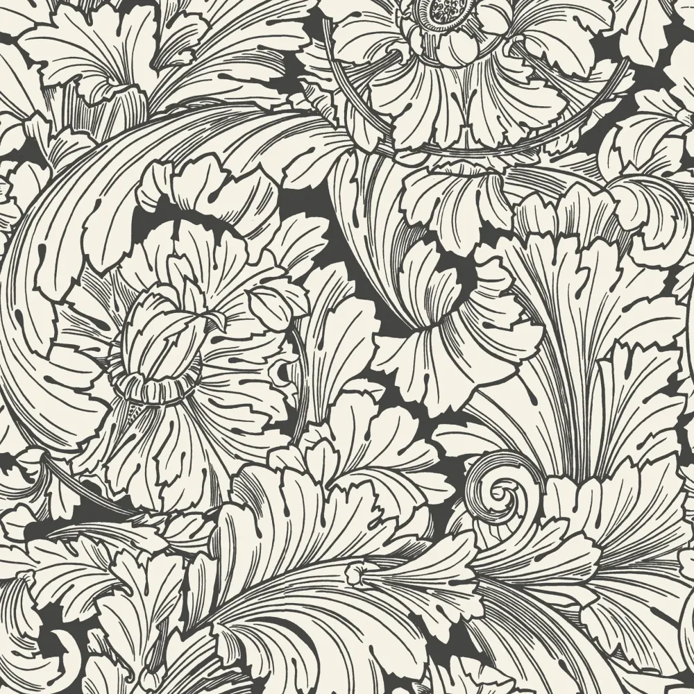 Acanthus