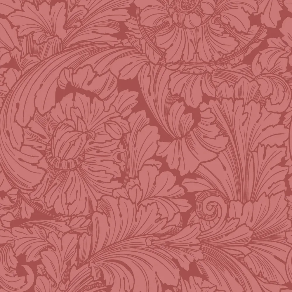 Acanthus