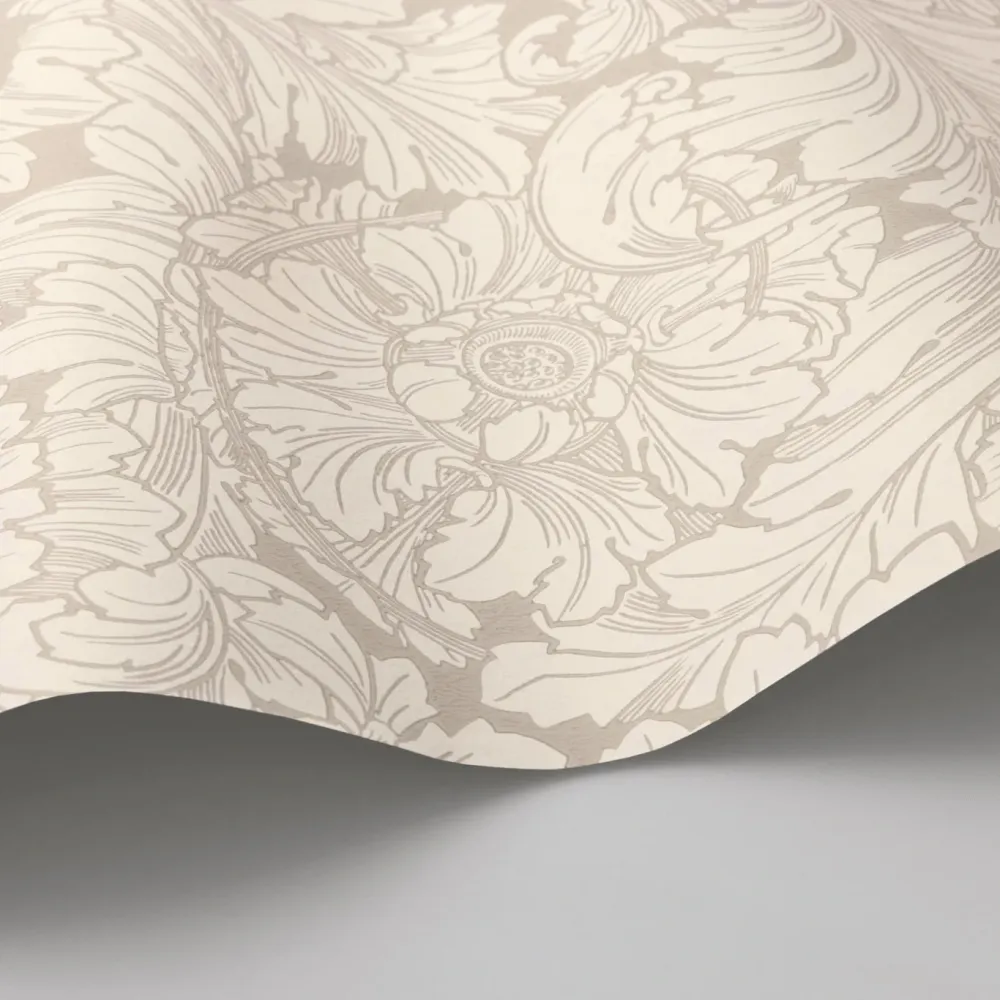 Acanthus