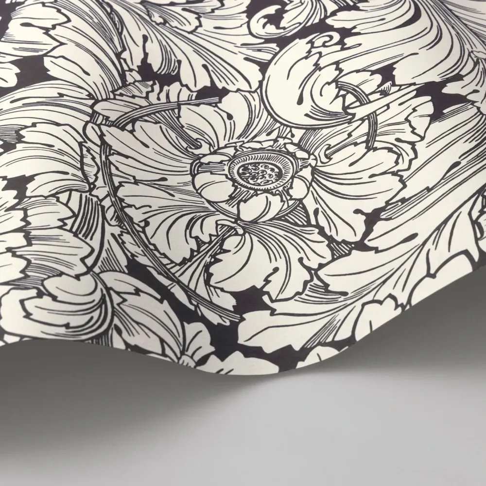 Acanthus