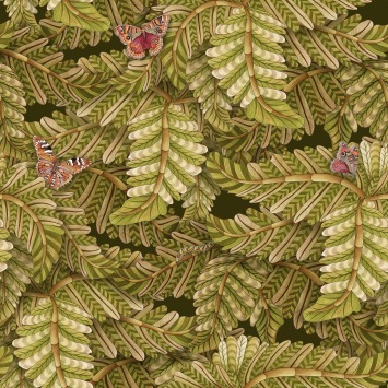 Acacia Canopy