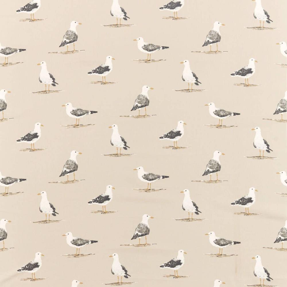 Shore Birds