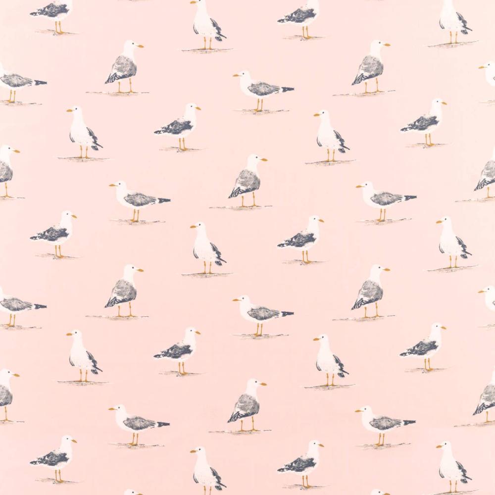 Shore Birds