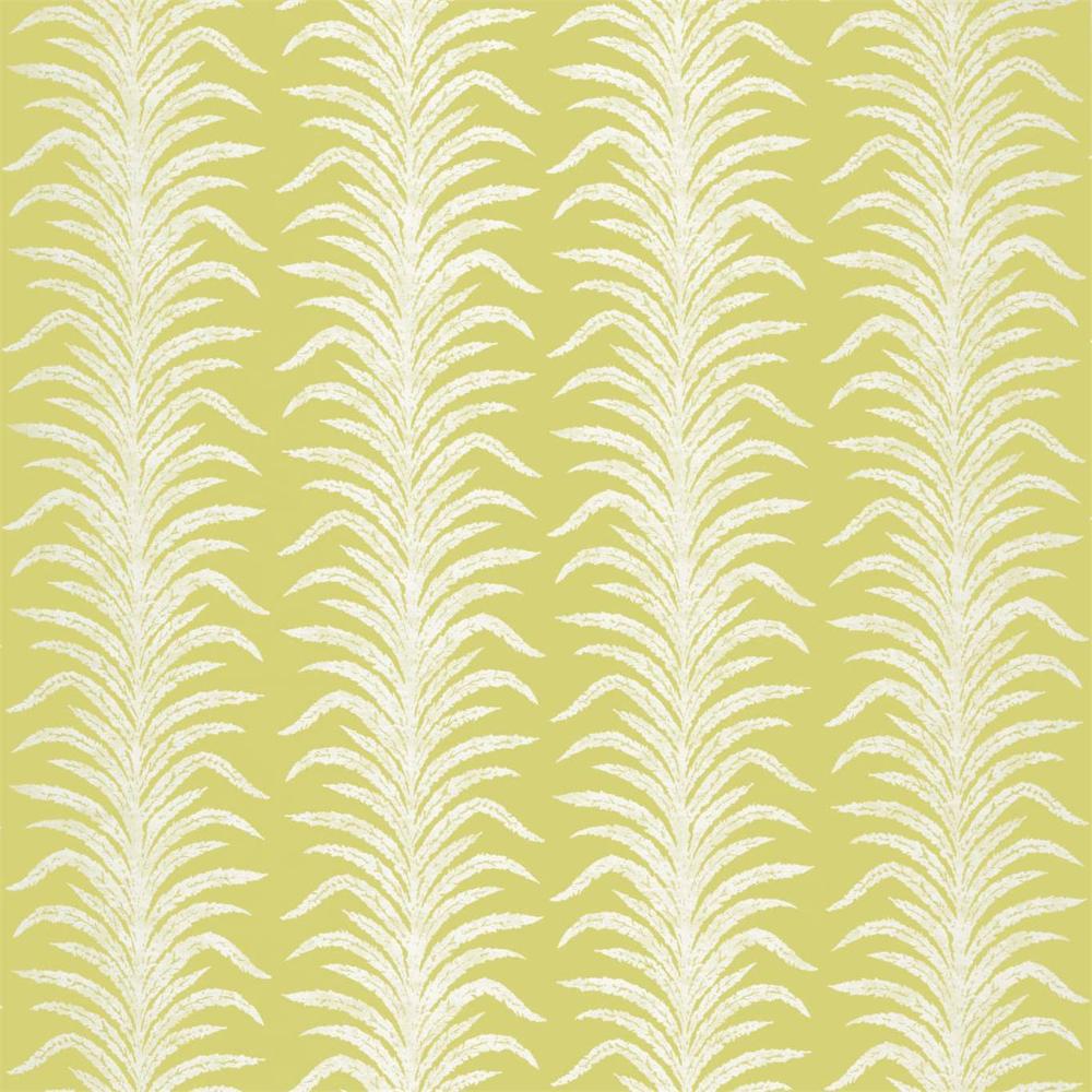 Tree Fern Weave