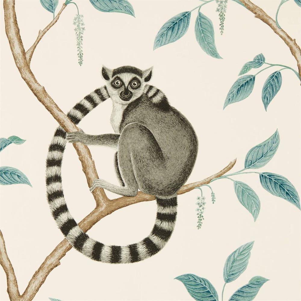 Ringtailed Lemur