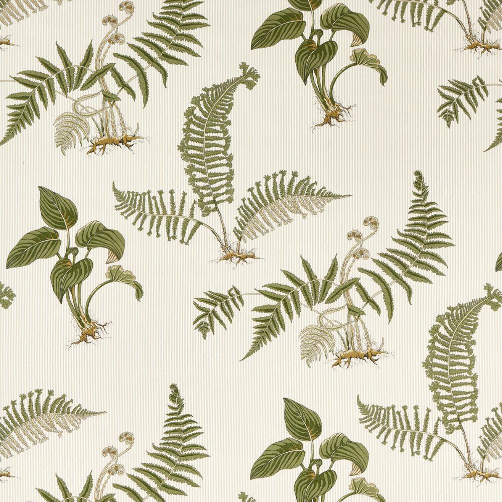 Hosta & Fern