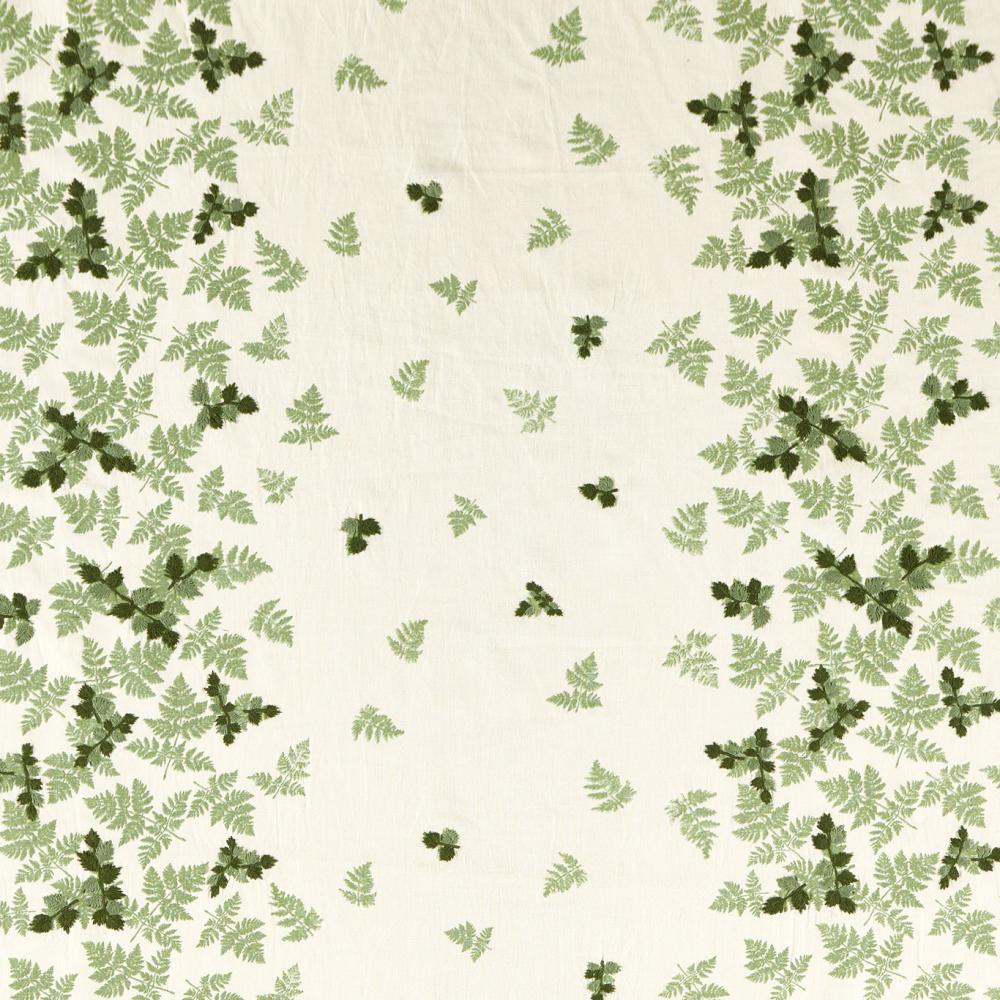 Alice's Fern