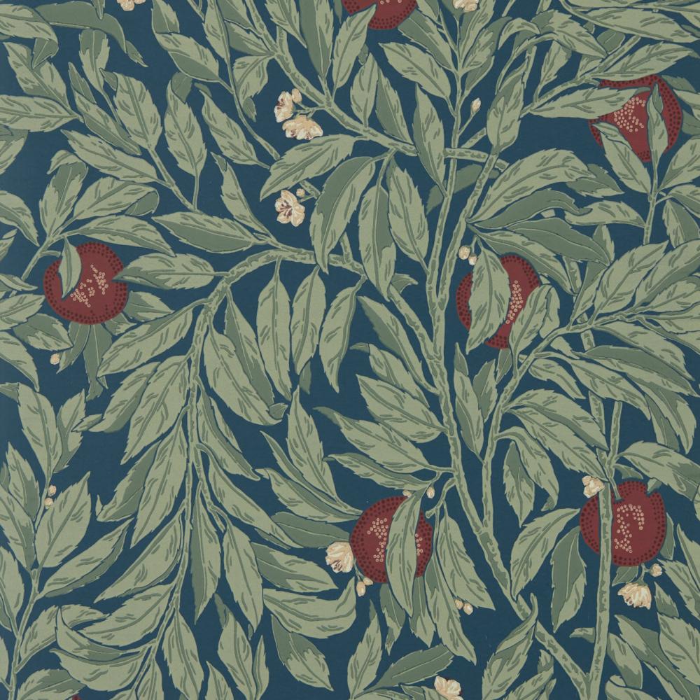 Ancient Apple Orchard