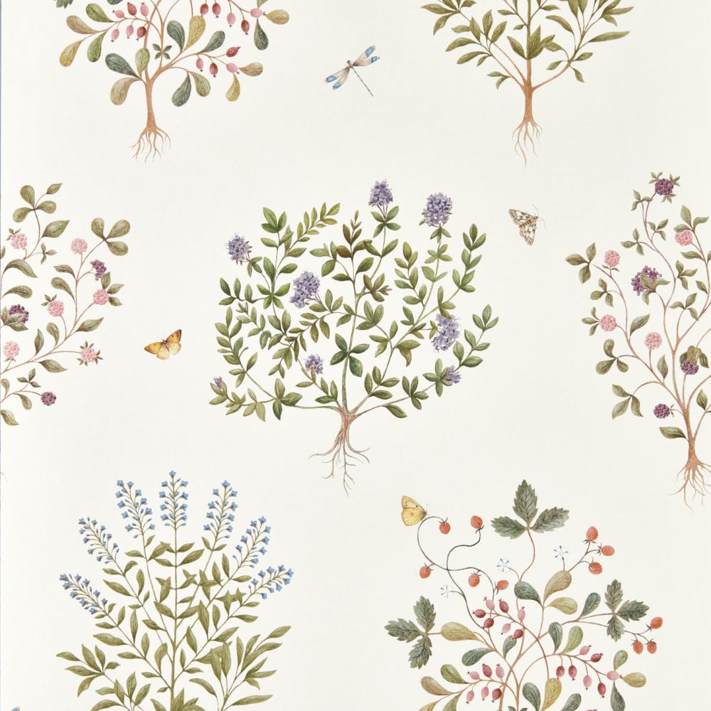 Thyme Walk