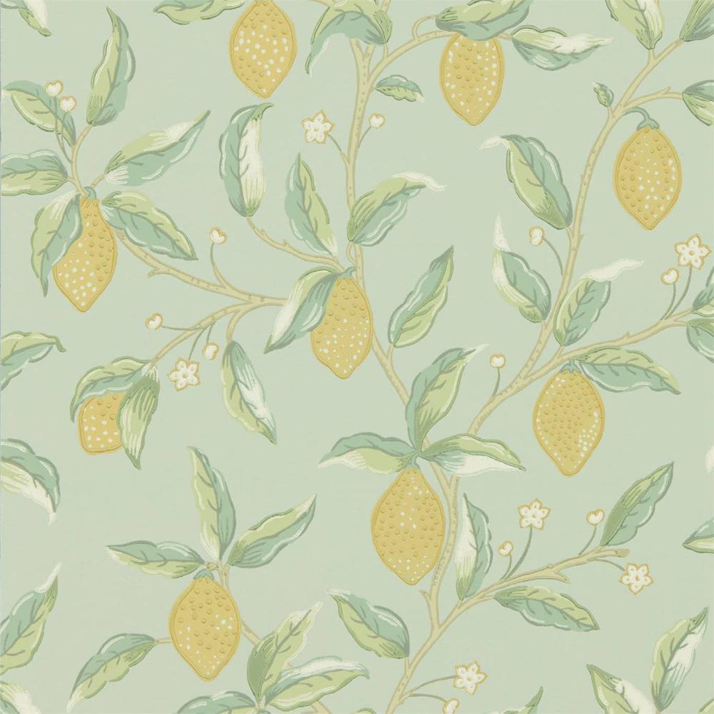 Lemon Tree