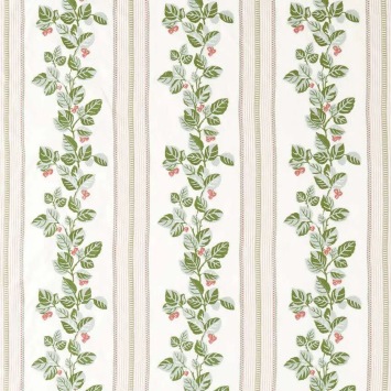Cobnut Stripe