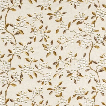 Damson Blossom
